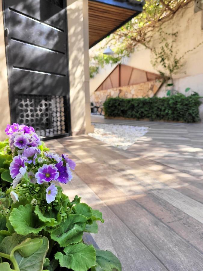 Casa Amalia Apartamentos Céntricos Mendoza Esterno foto