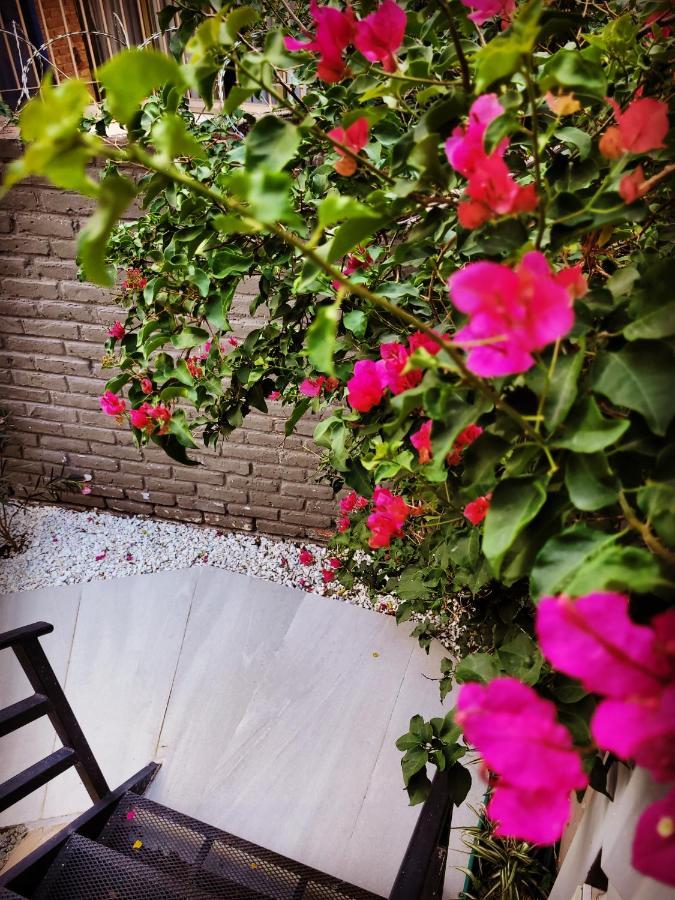 Casa Amalia Apartamentos Céntricos Mendoza Esterno foto